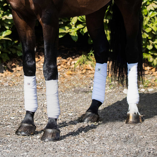 Premier Equine Horse Polo Fleece Bandages by Premier Equine at  Try a Bit