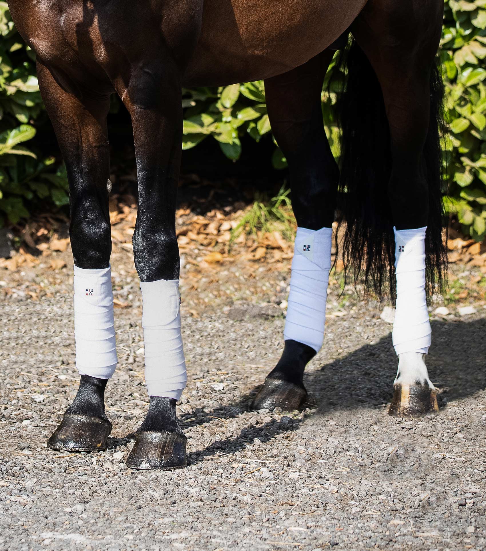 Premier Equine Horse Polo Fleece Bandages by Premier Equine at  Try a Bit