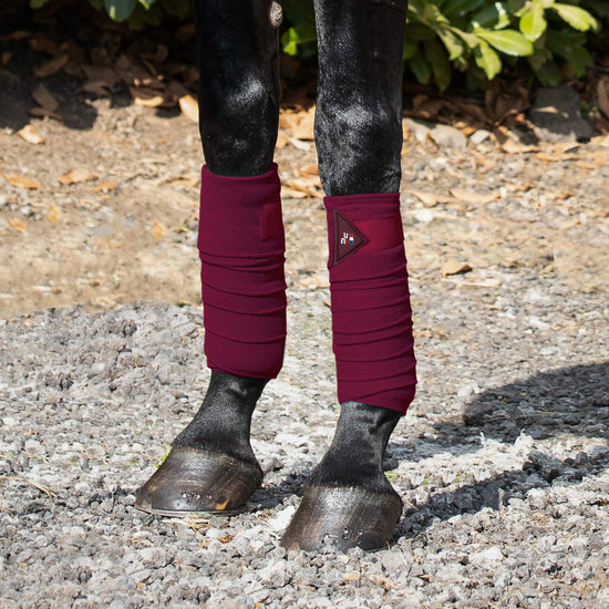 Premier Equine Horse Polo Fleece Bandages by Premier Equine at  Try a Bit