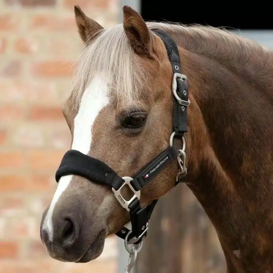 Premier Equine Fleece Padded Pony Head Collar by Premier Equine at  Try a Bit