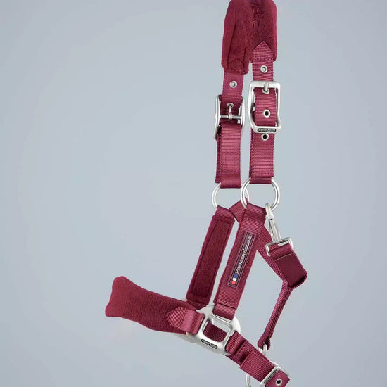 Premier Equine Fleece Padded Pony Head Collar by Premier Equine at  Try a Bit