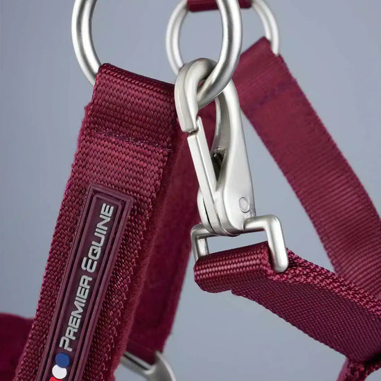 Premier Equine Fleece Padded Pony Head Collar by Premier Equine at  Try a Bit