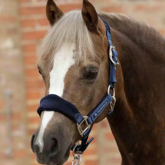 Premier Equine Fleece Padded Pony Head Collar by Premier Equine at  Try a Bit