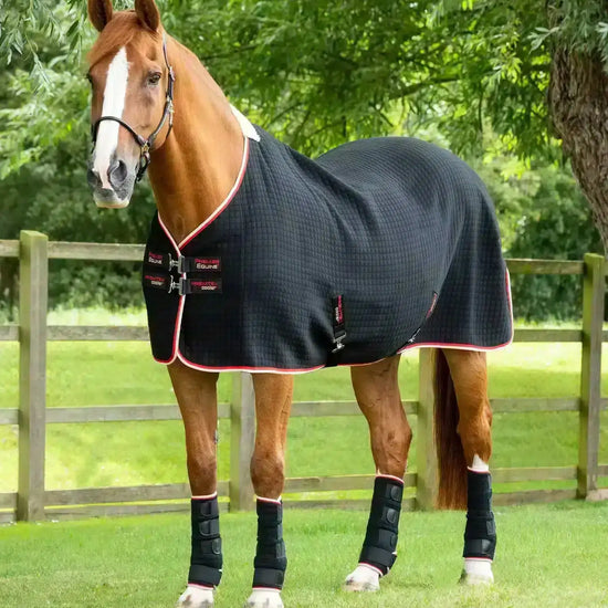 Premier Equine PremTex Horse Cooler Rug by Premier Equine at  Try a Bit