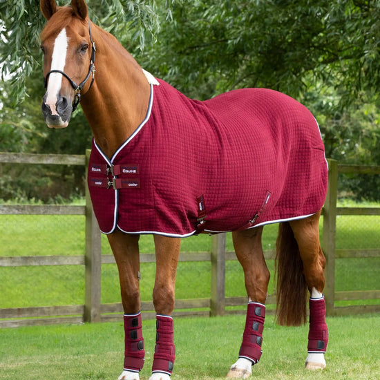 Premier Equine PremTex Horse Cooler Rug by Premier Equine at  Try a Bit
