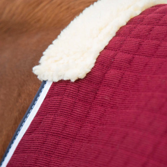Premier Equine PremTex Horse Cooler Rug by Premier Equine at  Try a Bit