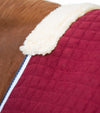 Premier Equine PremTex Horse Cooler Rug by Premier Equine at  Try a Bit