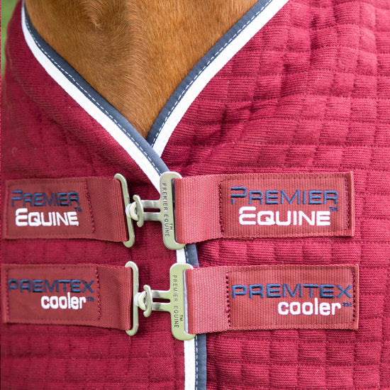 Premier Equine PremTex Horse Cooler Rug by Premier Equine at  Try a Bit