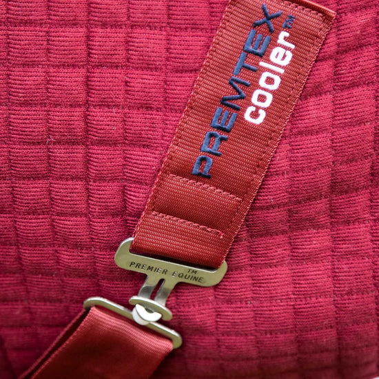 Premier Equine PremTex Horse Cooler Rug by Premier Equine at  Try a Bit