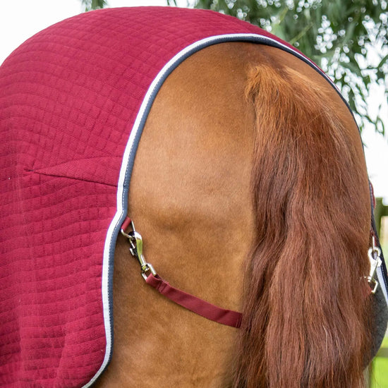 Premier Equine PremTex Horse Cooler Rug by Premier Equine at  Try a Bit