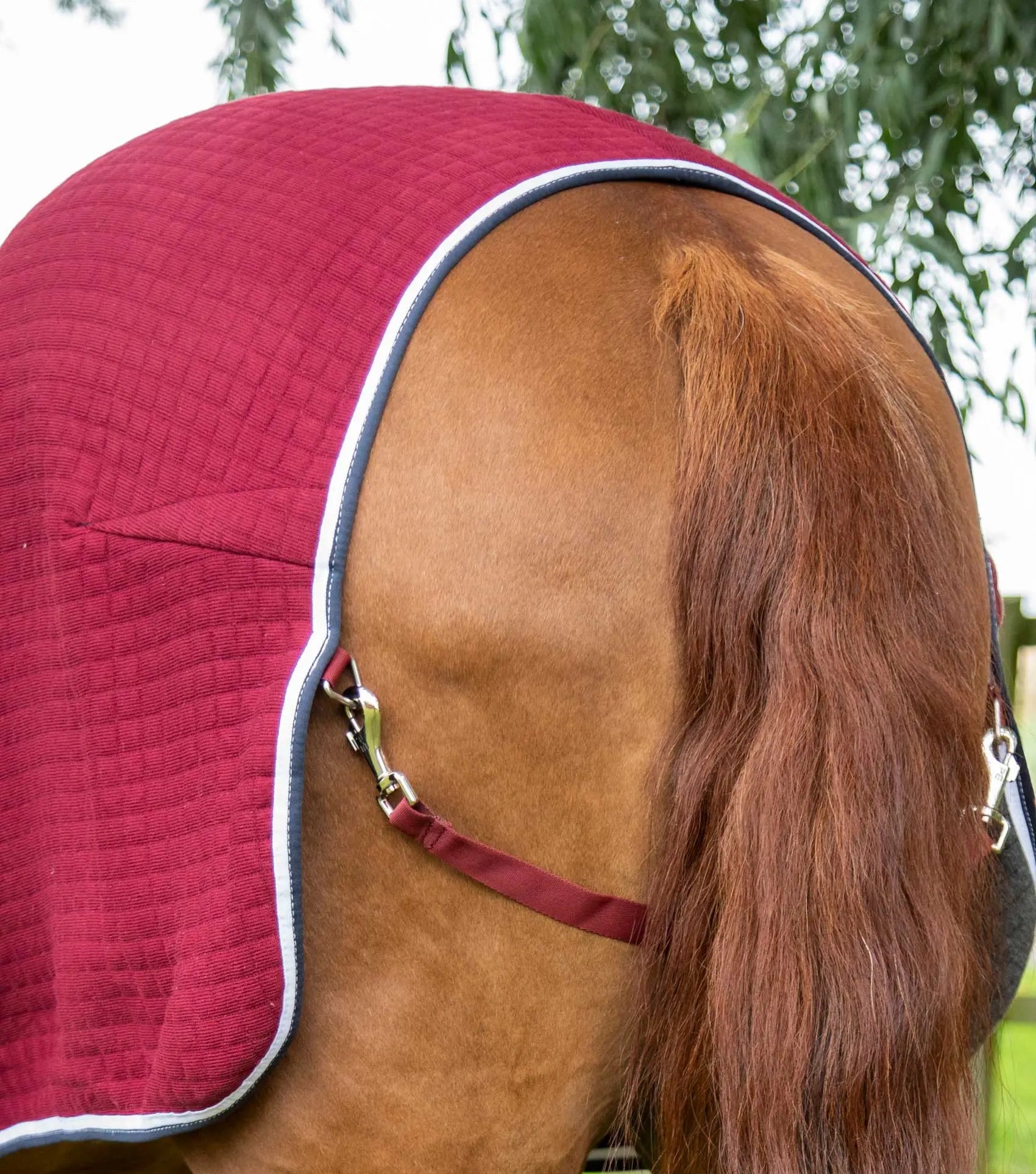 Premier Equine PremTex Horse Cooler Rug by Premier Equine at  Try a Bit