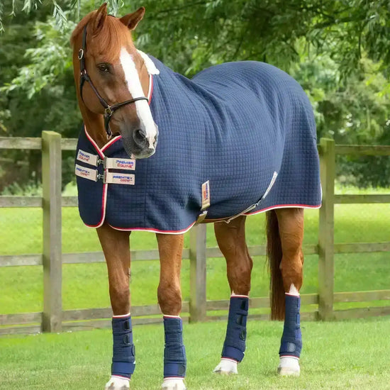 Premier Equine PremTex Horse Cooler Rug by Premier Equine at  Try a Bit