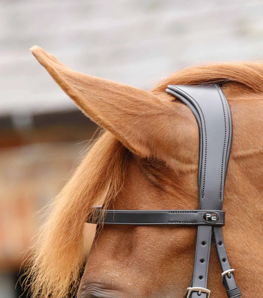 Premier Equine Primo Hunter Bridle by Premier Equine at  Try a Bit
