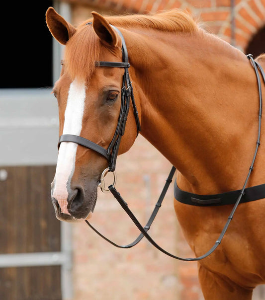 Premier Equine Primo Hunter Bridle by Premier Equine at  Try a Bit
