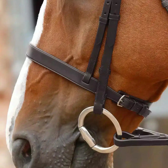 Premier Equine Primo Hunter Bridle by Premier Equine at  Try a Bit