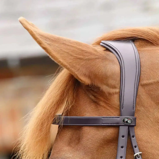 Premier Equine Primo Hunter Bridle by Premier Equine at  Try a Bit