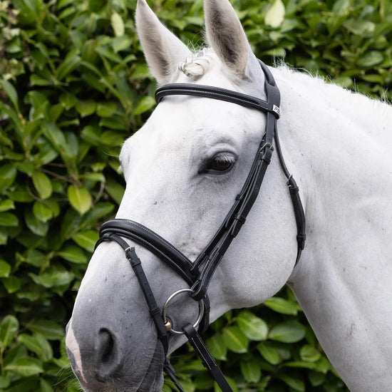 Pro Elevator Bridle Black