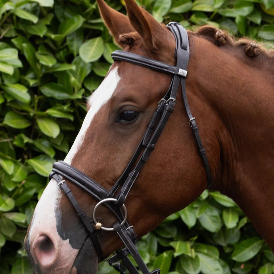 Pro Elevator Bridle Dark Havana by Premier Equine Int. Ltd. at  Try A Bit