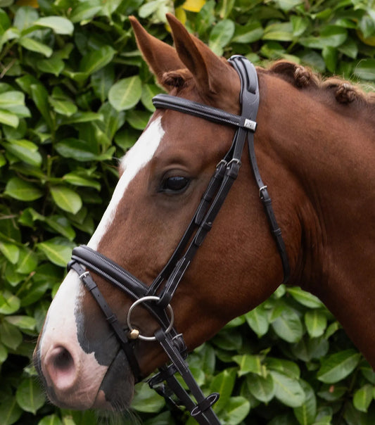 Pro Elevator Bridle Dark Havana by Premier Equine Int. Ltd. at  Try A Bit