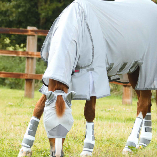 Premier Equine Pro-Tech Bug & Fly Boots by Premier Equine at  Try a Bit