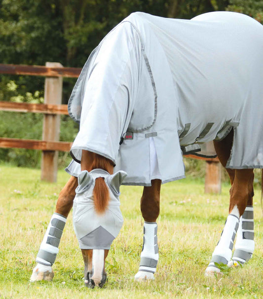 Premier Equine Pro-Tech Bug & Fly Boots by Premier Equine at  Try a Bit