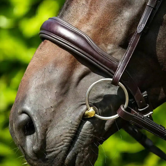 Premier Equine Verdura Anatomic Snaffle Bridle by Premier Equine at  Try a Bit
