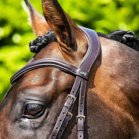 Premier Equine Verdura Anatomic Snaffle Bridle by Premier Equine at  Try a Bit