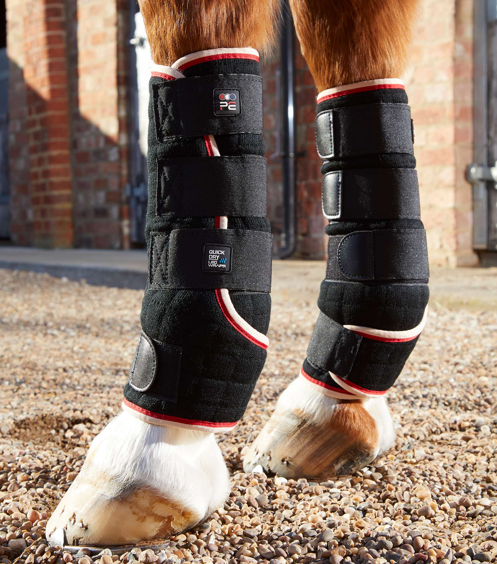 Premier Equine Quick Dry Horse Leg Wraps by Premier Equine at  Try a Bit