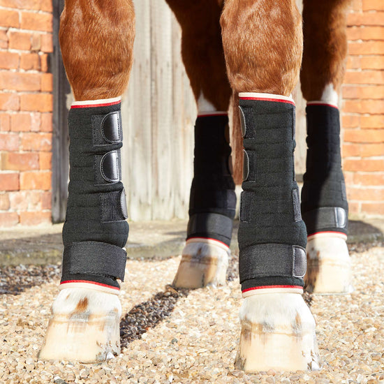 Premier Equine Quick Dry Horse Leg Wraps by Premier Equine at  Try a Bit
