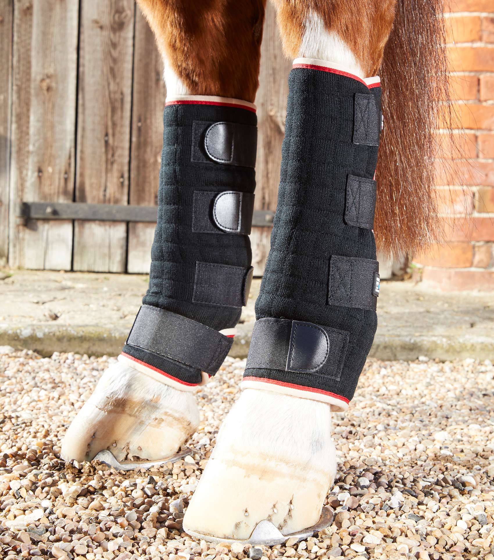 Premier Equine Quick Dry Horse Leg Wraps by Premier Equine at  Try a Bit