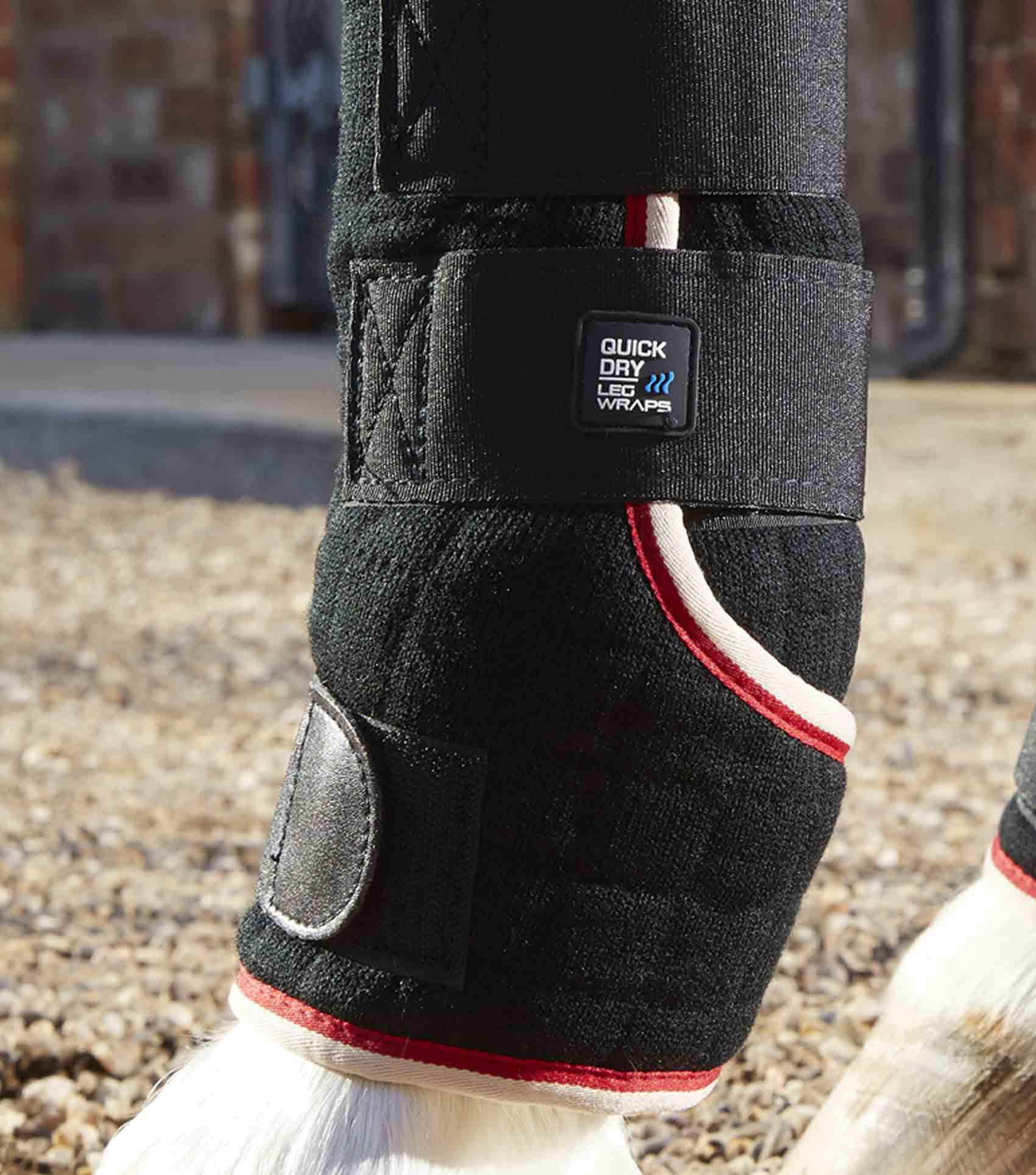 Premier Equine Quick Dry Horse Leg Wraps by Premier Equine at  Try a Bit