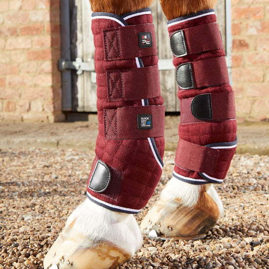 Premier Equine Quick Dry Horse Leg Wraps by Premier Equine at  Try a Bit