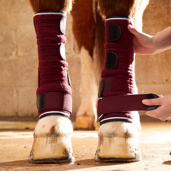 Premier Equine Quick Dry Horse Leg Wraps by Premier Equine at  Try a Bit