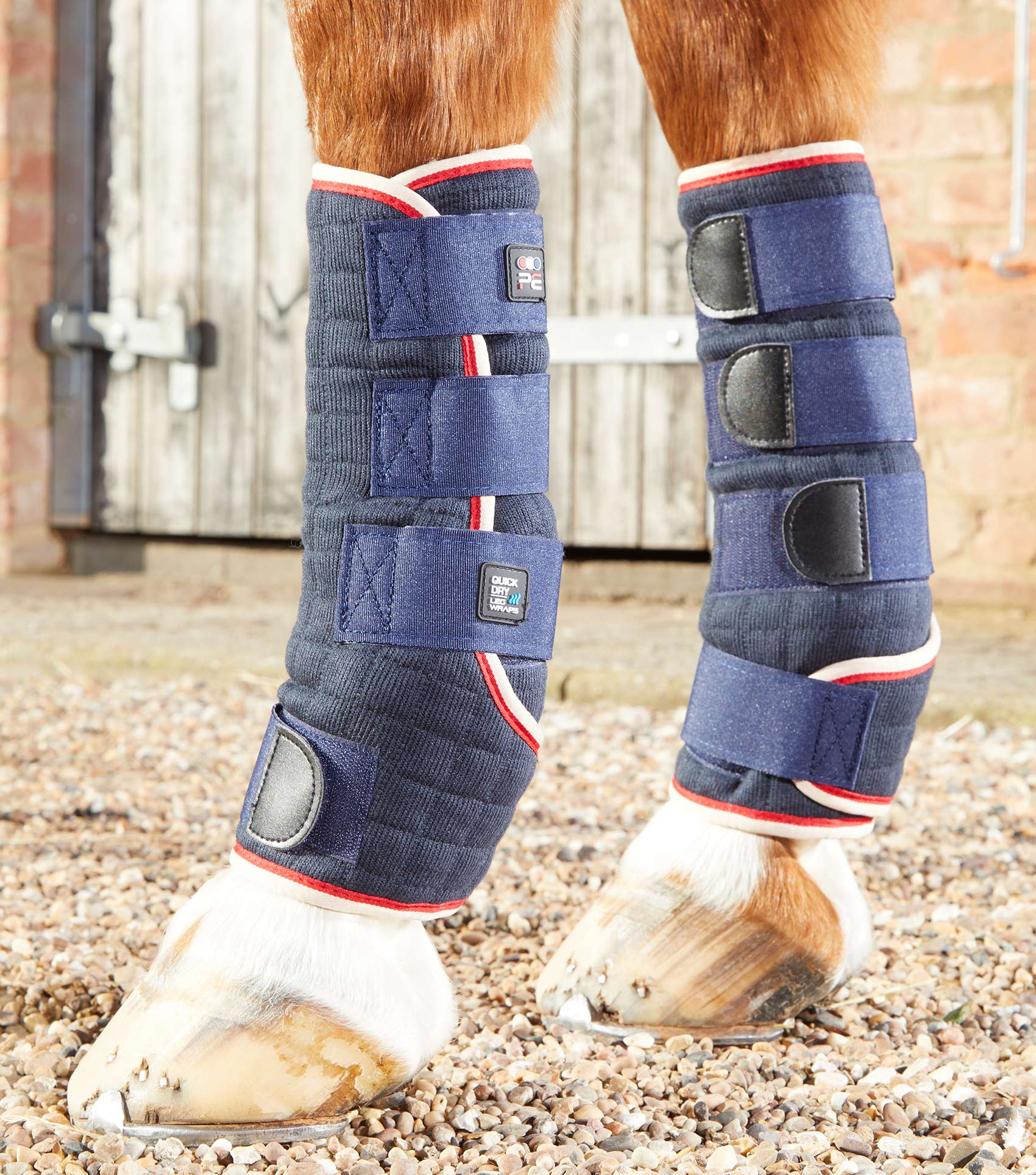 Premier Equine Quick Dry Horse Leg Wraps by Premier Equine at  Try a Bit