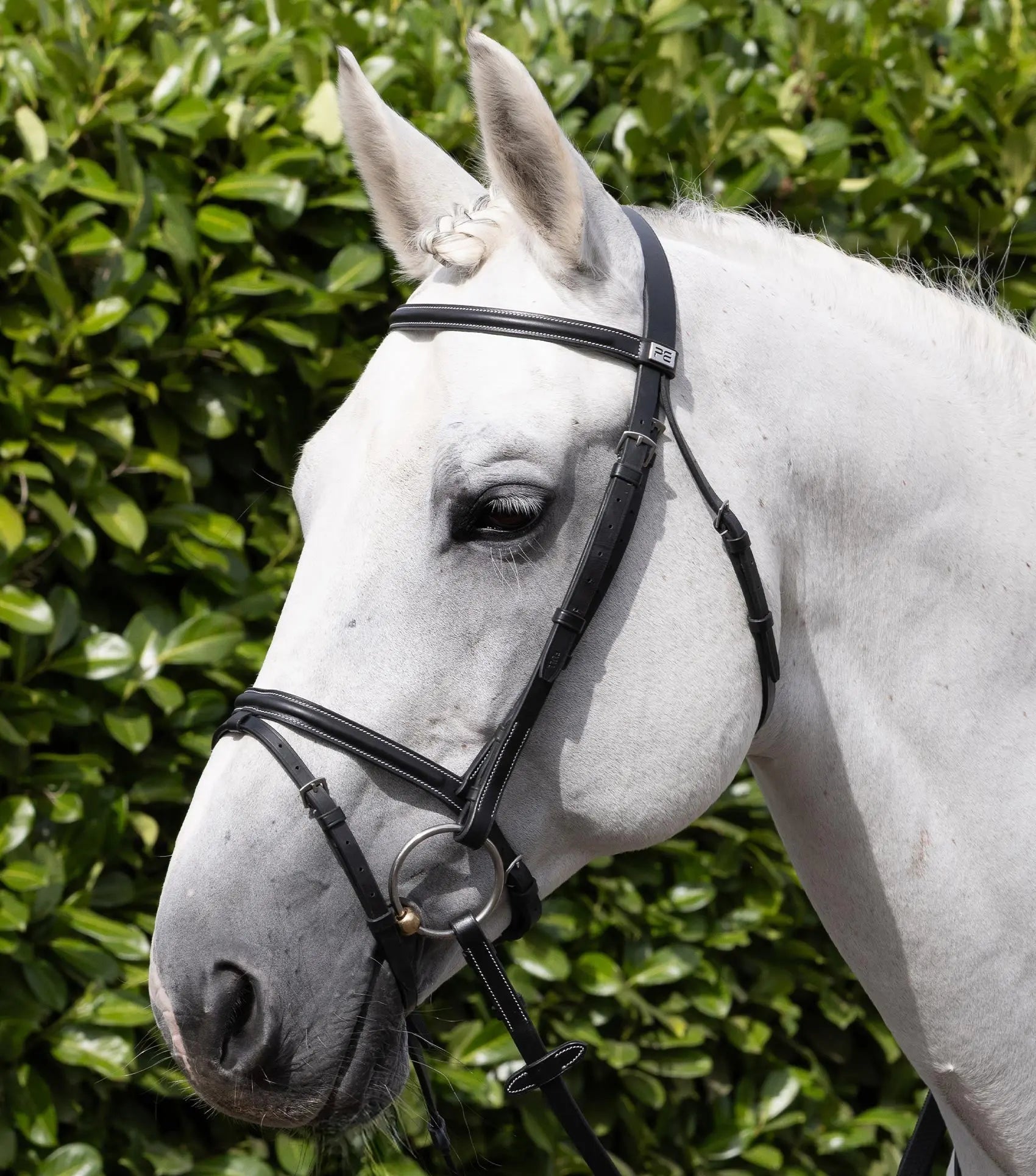 Raised Jumping Bridle with Flash Noseband Black by Premier Equine Int. Ltd. at  Try A Bit