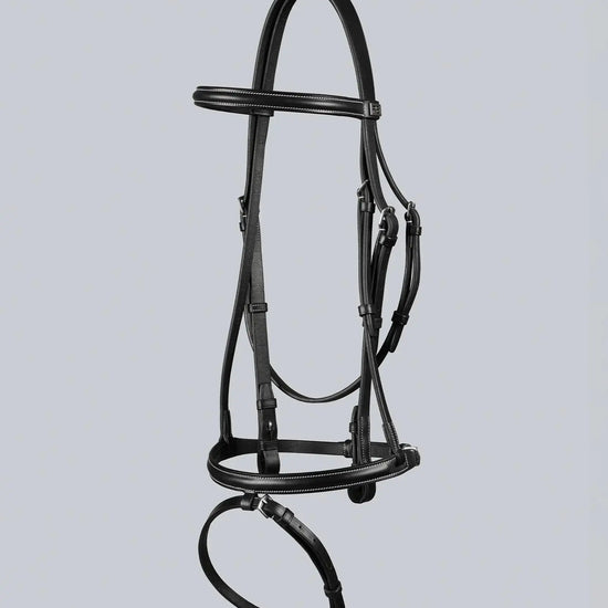 Raised Jumping Bridle with Flash Noseband Dark Havana by Premier Equine Int. Ltd. at  Try A Bit