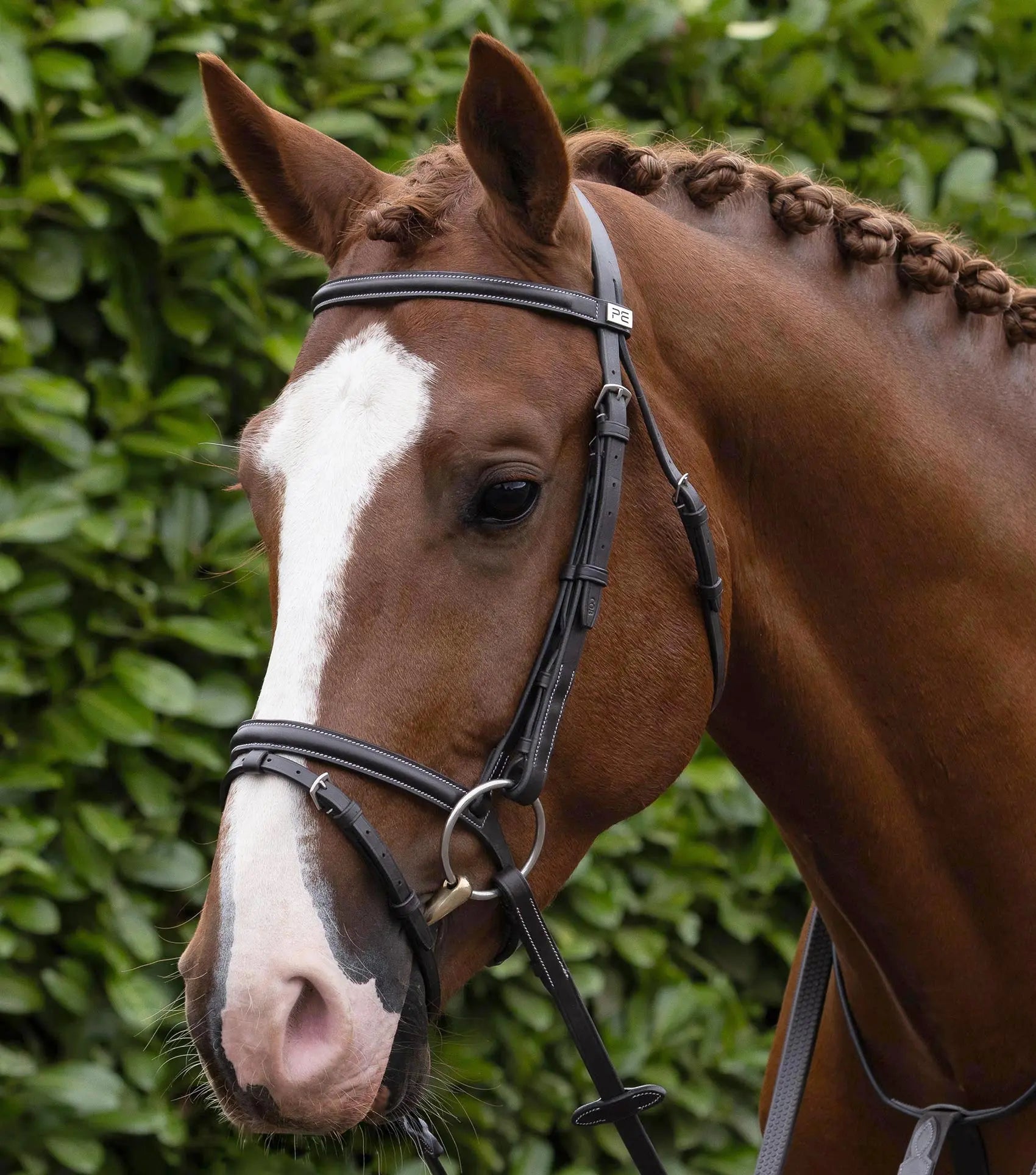 Raised Jumping Bridle with Flash Noseband Dark Havana by Premier Equine Int. Ltd. at  Try A Bit