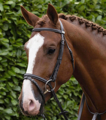 Raised Jumping Bridle with Flash Noseband Dark Havana by Premier Equine Int. Ltd. at  Try A Bit