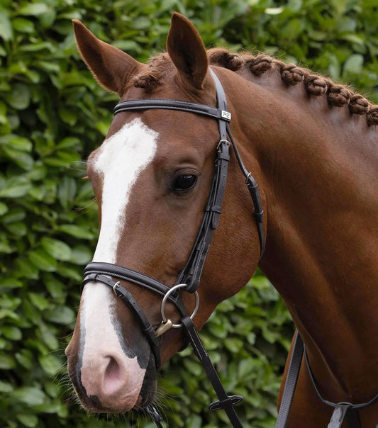 Raised Jumping Bridle with Flash Noseband Dark Havana by Premier Equine Int. Ltd. at  Try A Bit