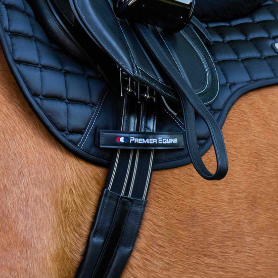 Premier Equine Rapone Leather Girth by Premier Equine at  Try a Bit