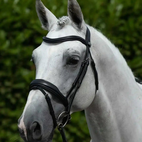 Premier Equine Rizzo Anatomic Snaffle Bridle with Flash by Premier Equine at  Try a Bit