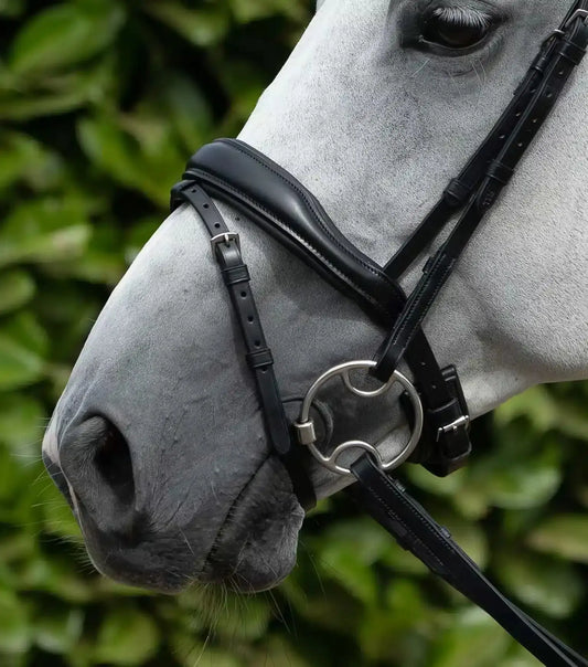 Premier Equine Rizzo Anatomic Snaffle Bridle with Flash by Premier Equine at  Try a Bit