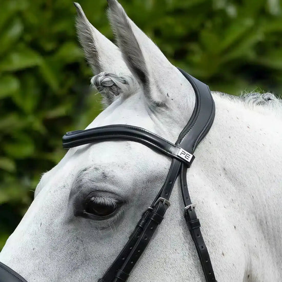 Premier Equine Rizzo Anatomic Snaffle Bridle with Flash by Premier Equine at  Try a Bit