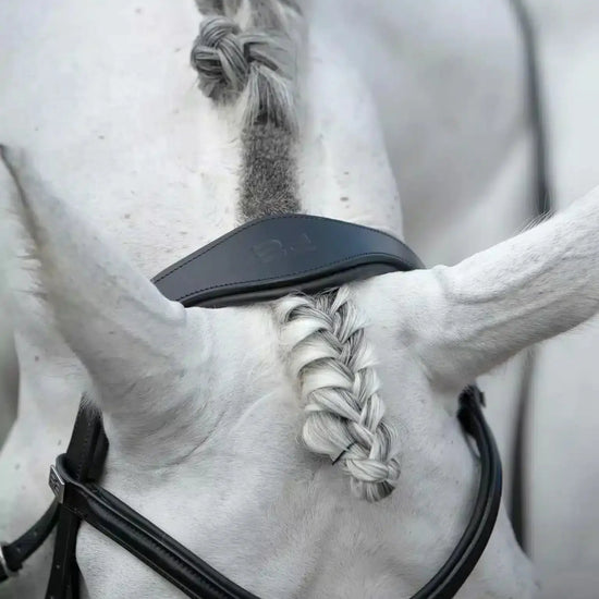 Premier Equine Rizzo Anatomic Snaffle Bridle with Flash by Premier Equine at  Try a Bit