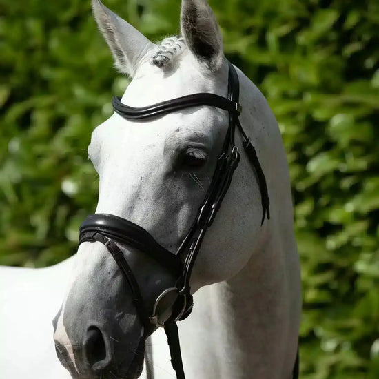 Premier Equine Rizzo Anatomic Snaffle Bridle with Flash by Premier Equine at  Try a Bit