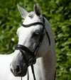 Premier Equine Rizzo Anatomic Snaffle Bridle with Flash by Premier Equine at  Try a Bit
