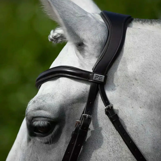 Premier Equine Rizzo Anatomic Snaffle Bridle with Flash by Premier Equine at  Try a Bit