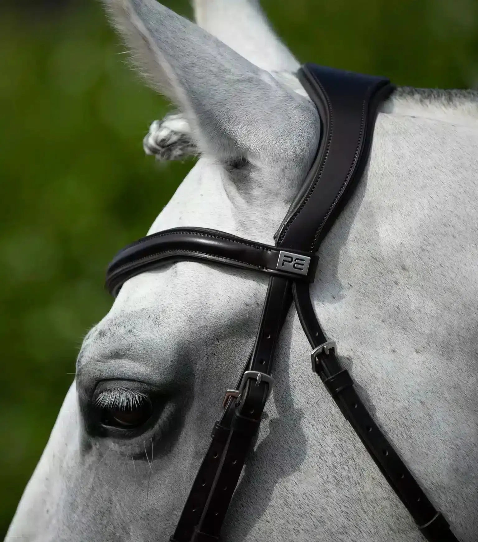 Premier Equine Rizzo Anatomic Snaffle Bridle with Flash by Premier Equine at  Try a Bit