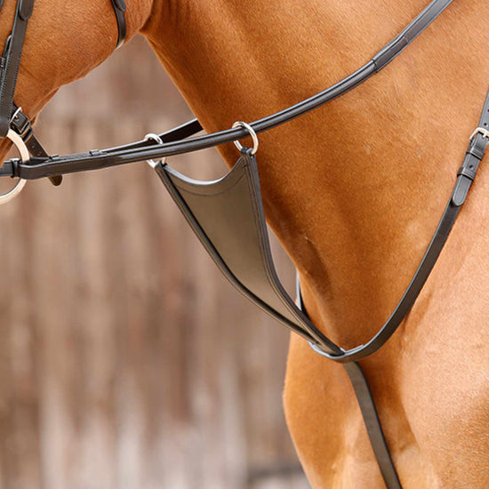 Premier Equine Rosello Bib Martingale by Premier Equine at  Try a Bit