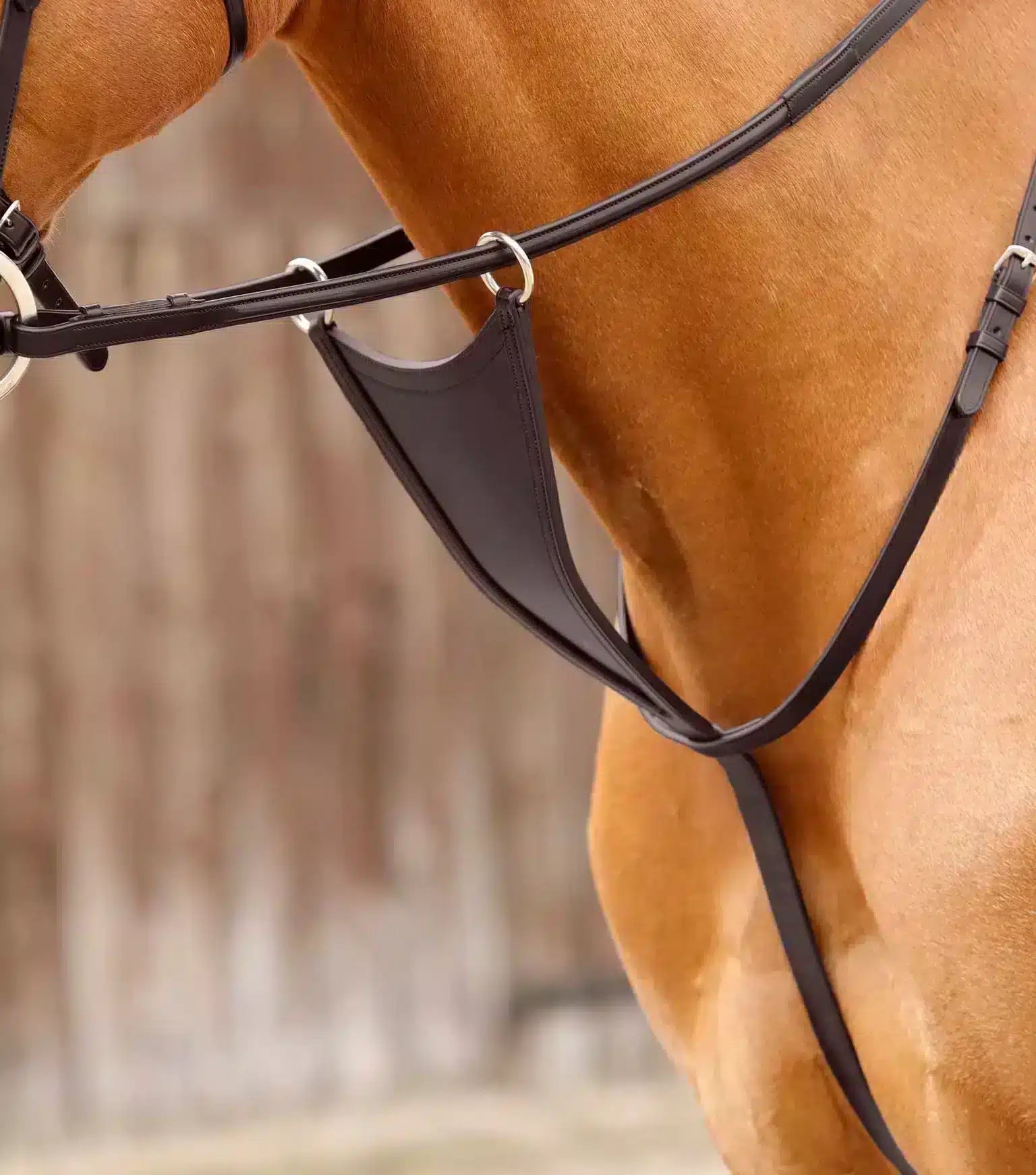 Premier Equine Rosello Bib Martingale by Premier Equine at  Try a Bit